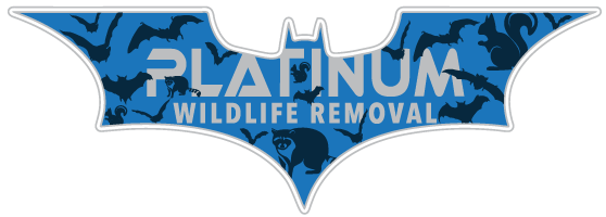 Lagrange County Wildlife Control